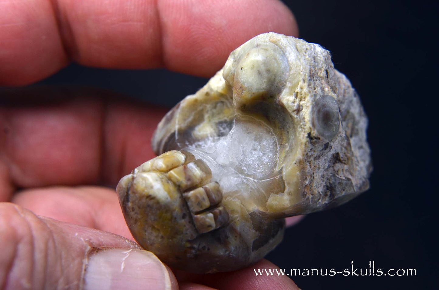 TNT-bed Thunderegg Evolian #02