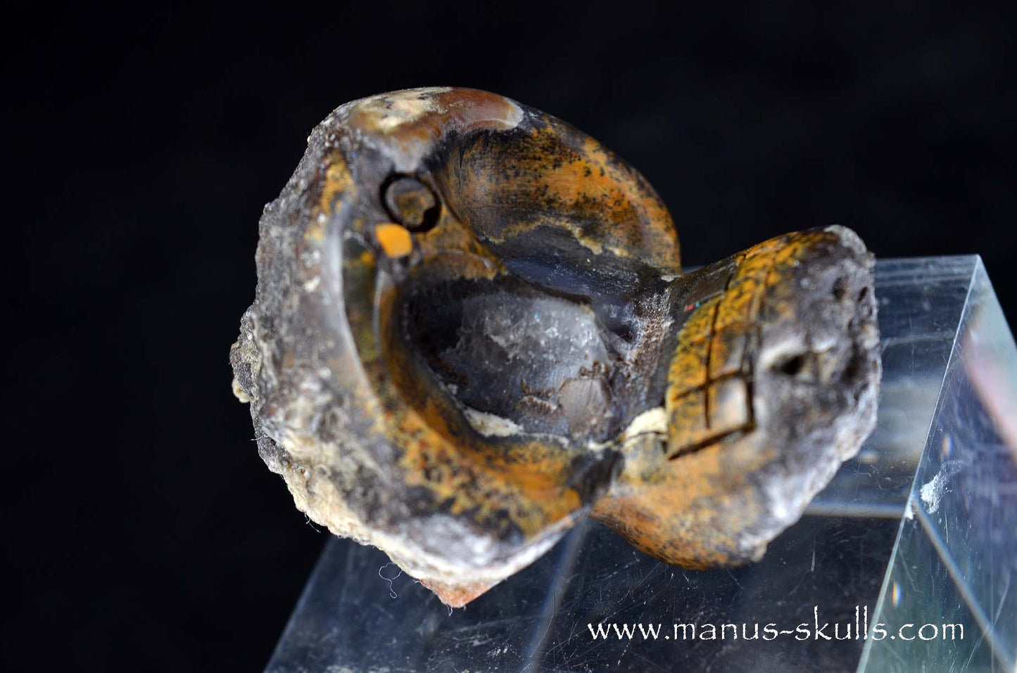 Agate Geode Evolian #03