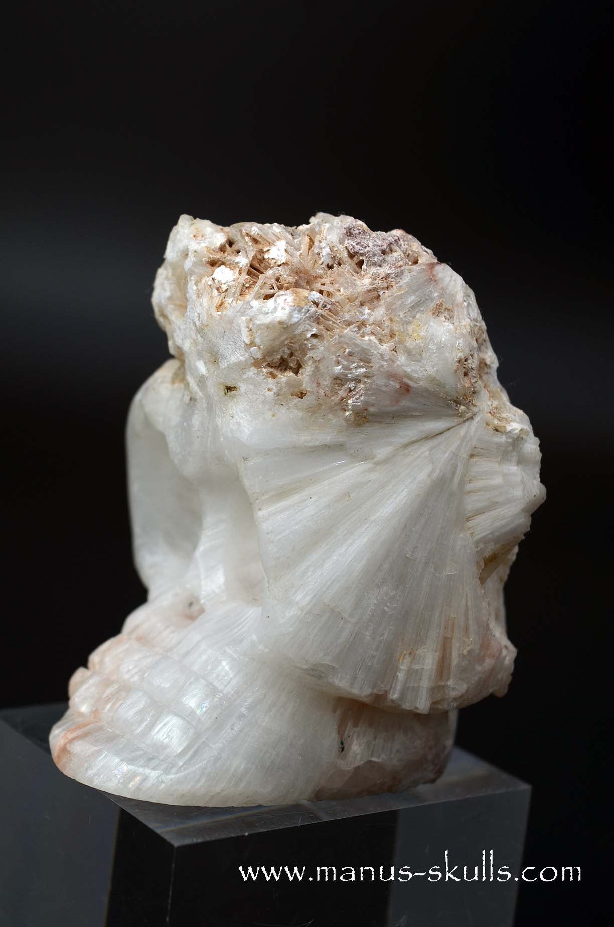 Scolecite Evolian Skull #02
