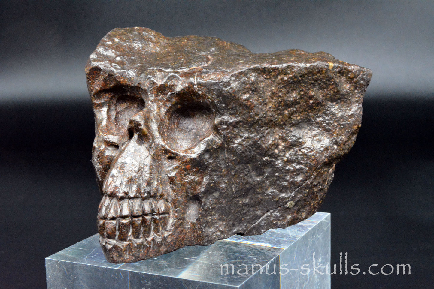 Meteorite Skull