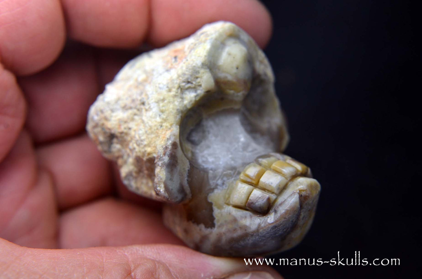 TNT-bed Thunderegg Evolian #02
