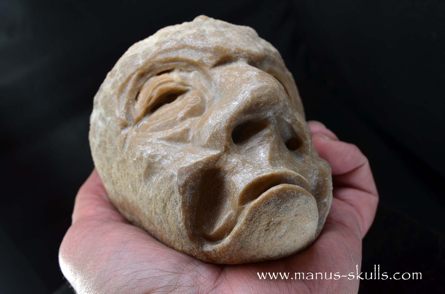 Stromatolite ~ Oncolite Character Skull