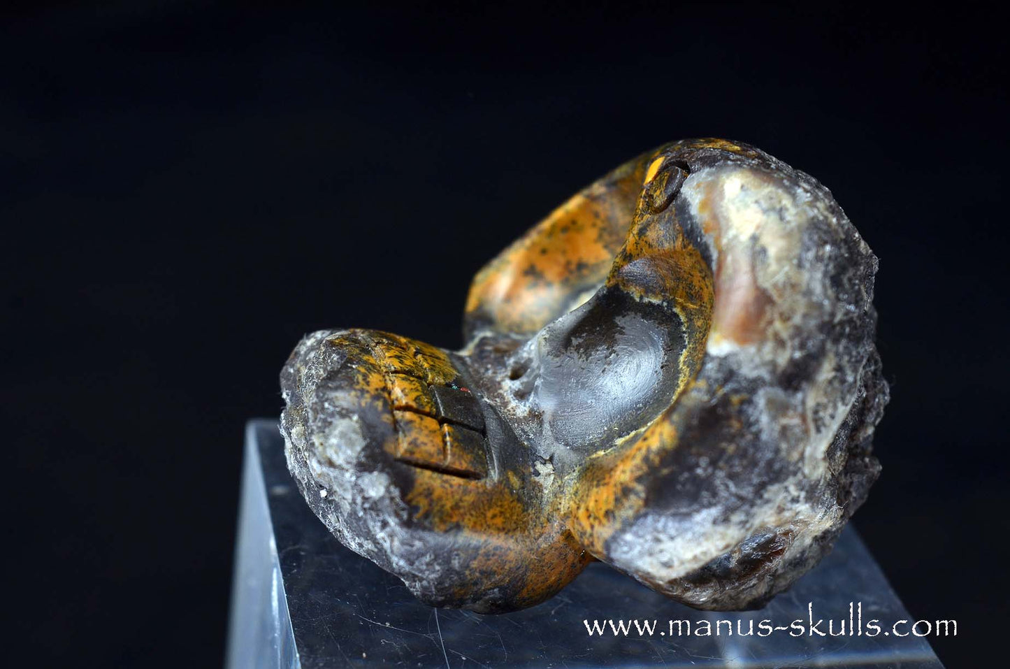 Agate Geode Evolian #03