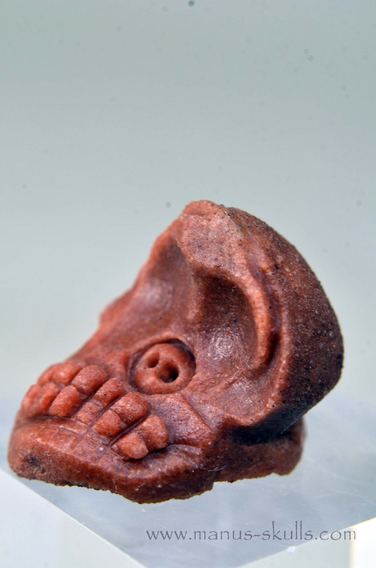 Manus skulls unique Crystal Carvings handmade skulls dragons pendants preseli bluestone tribals spiritual meaning wand Unicorn .. Stromatolite Oncolite Evolian 2025 Ivolian