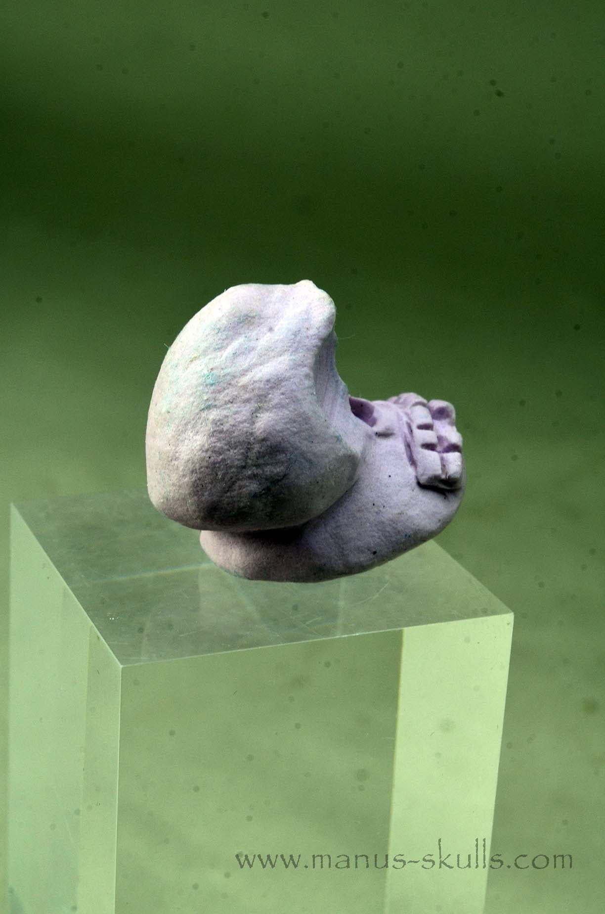 Phosphosiderite Evolian Skull #03