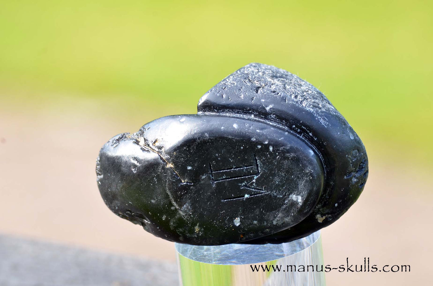 Agni Manitite Evolian #02