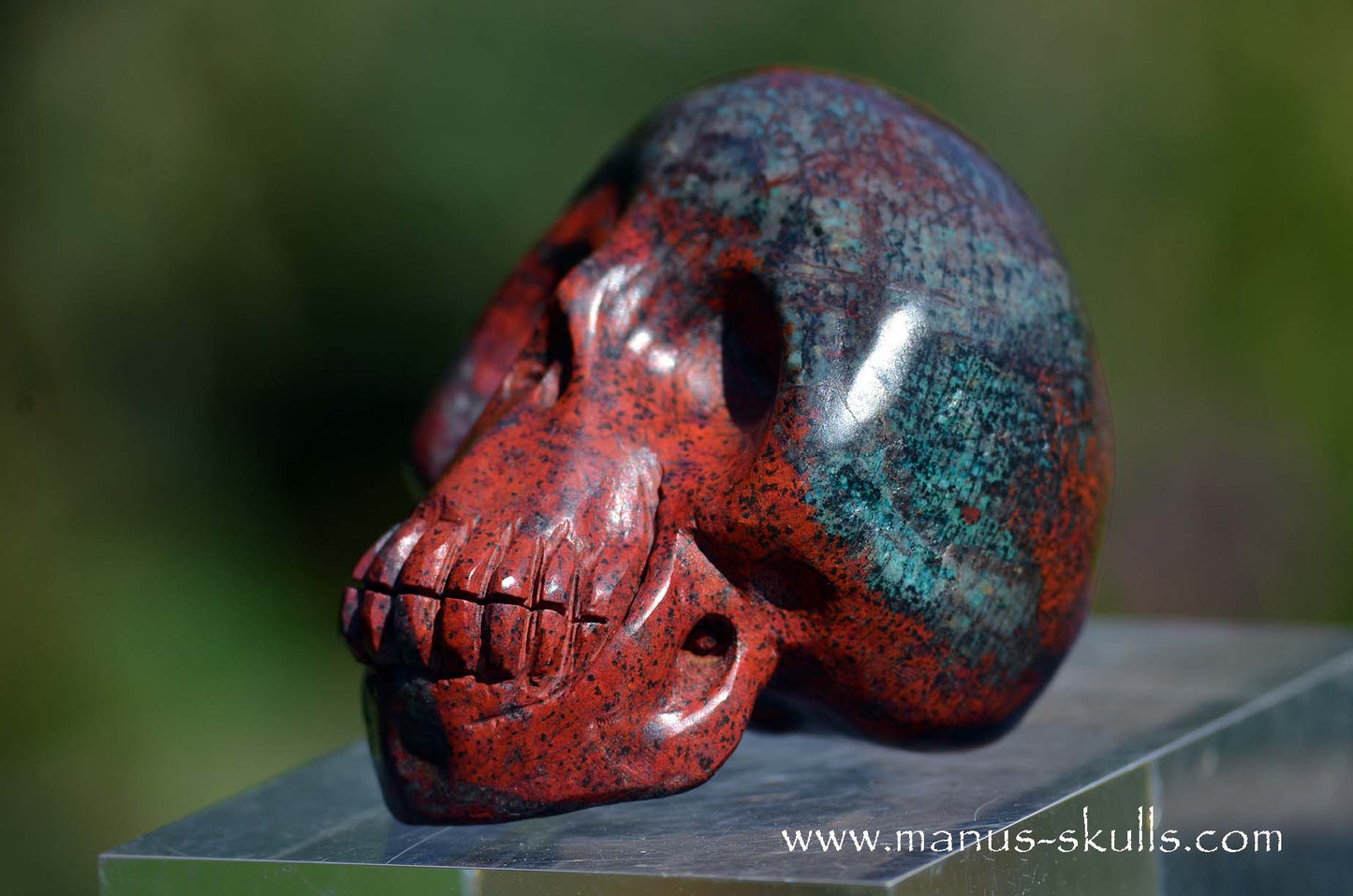 Happy Sonora Sunrise Skull