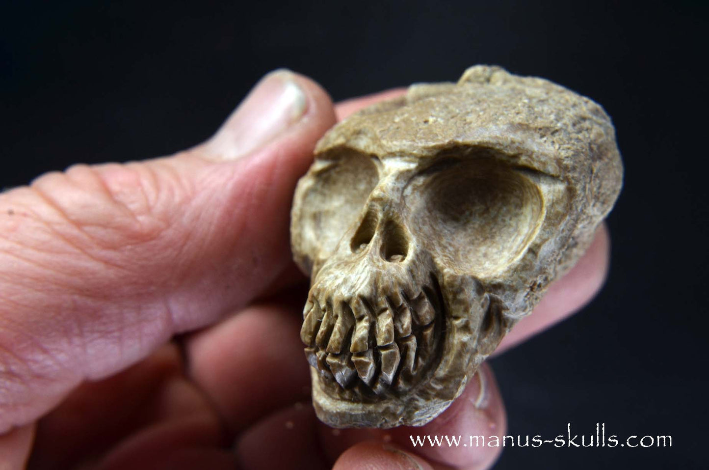 Aragonite Nodul Skull