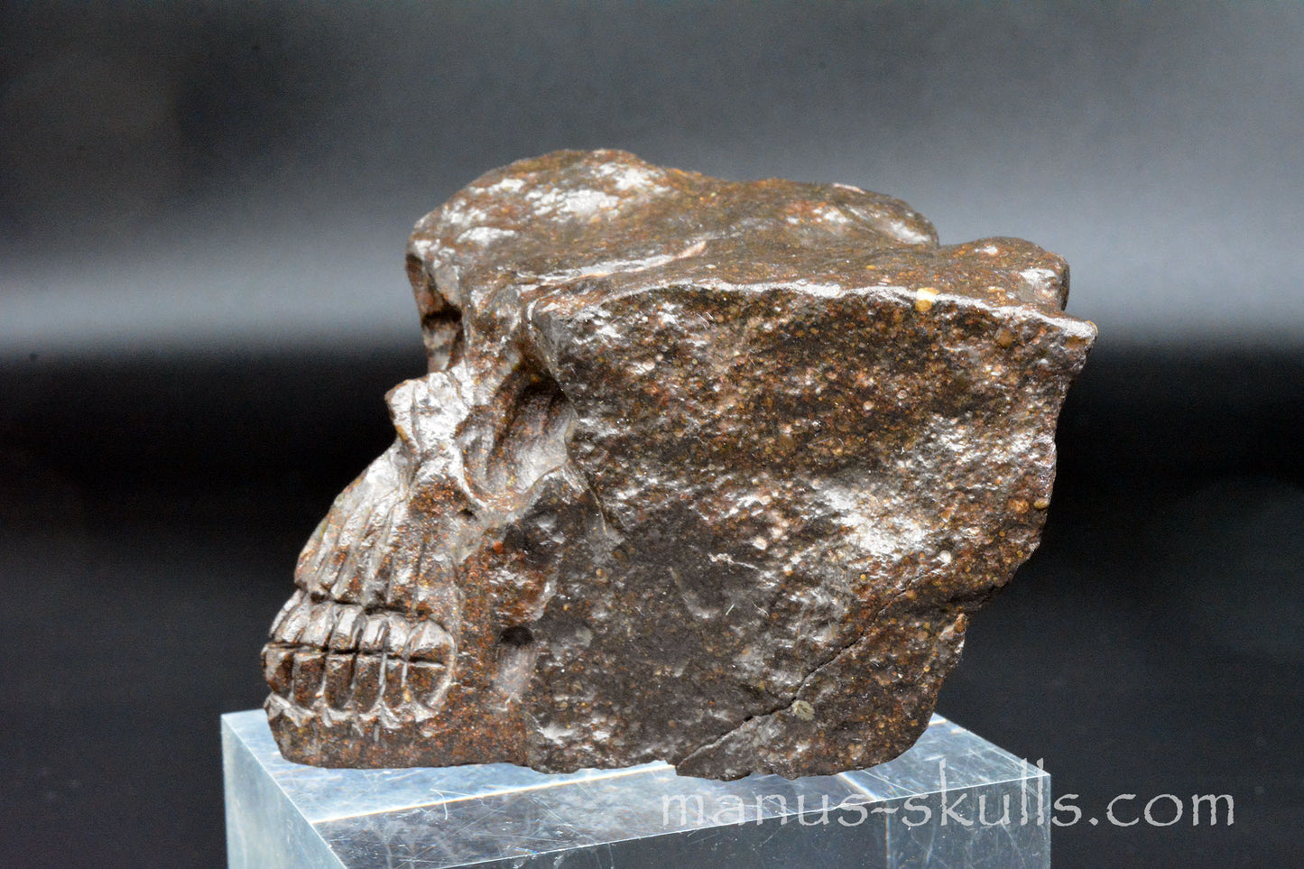 Meteorite Skull