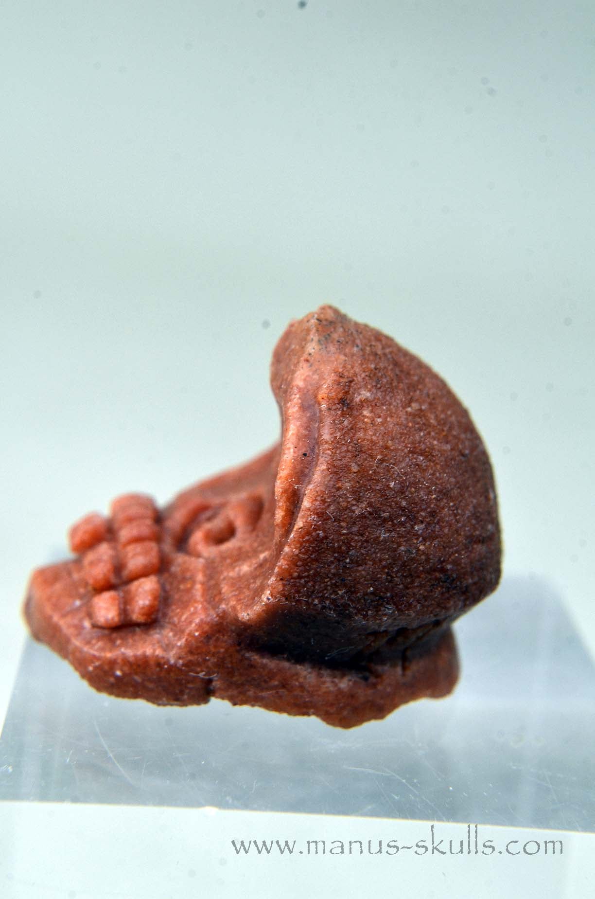 Manus skulls unique Crystal Carvings handmade skulls dragons pendants preseli bluestone tribals spiritual meaning wand Unicorn .. Stromatolite Oncolite Evolian 2025 Ivolian