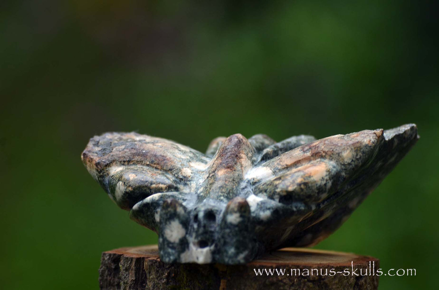 Preseli Bluestone Butterfly Dragon ....