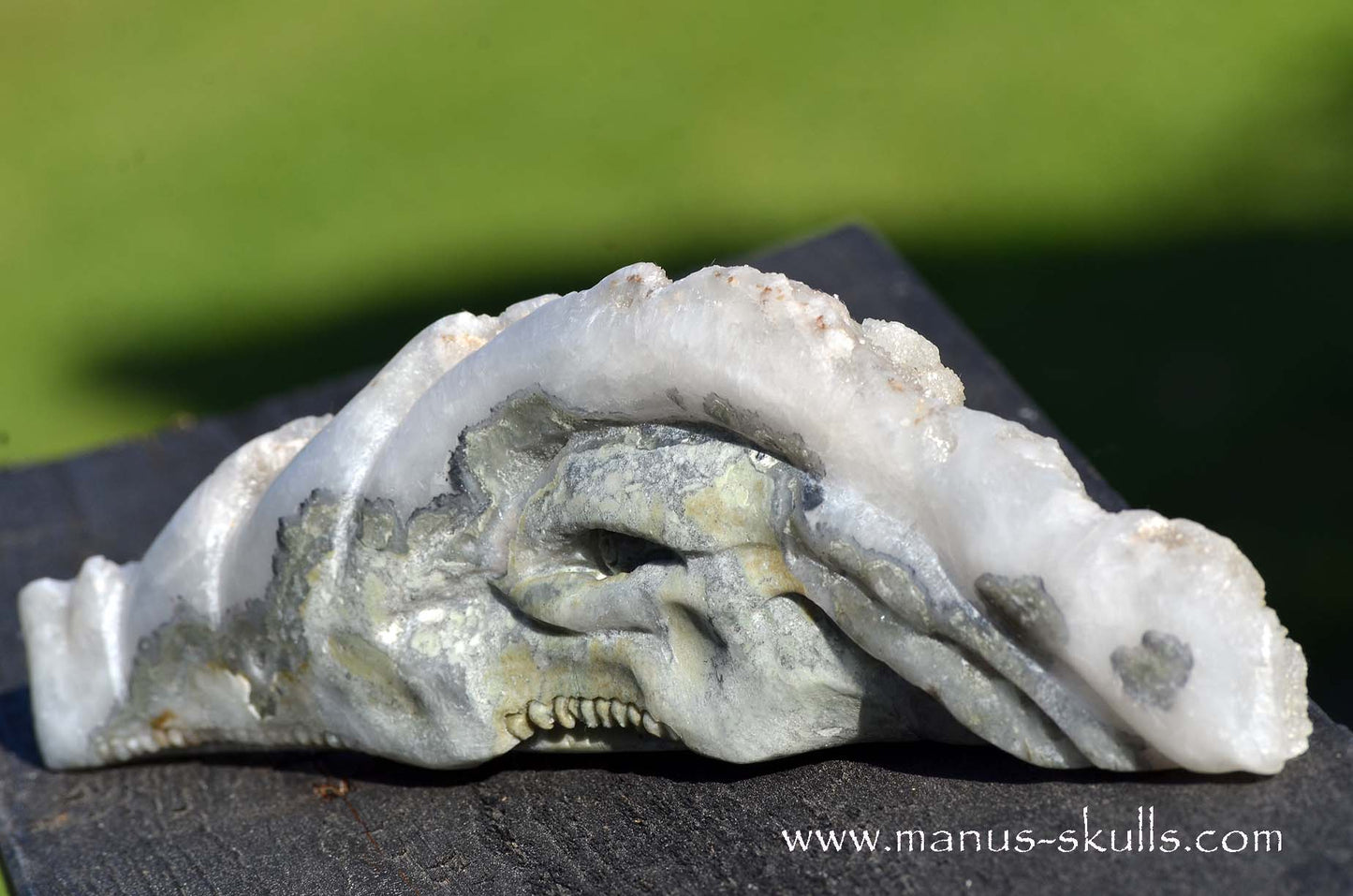 Apophyllite Dragon