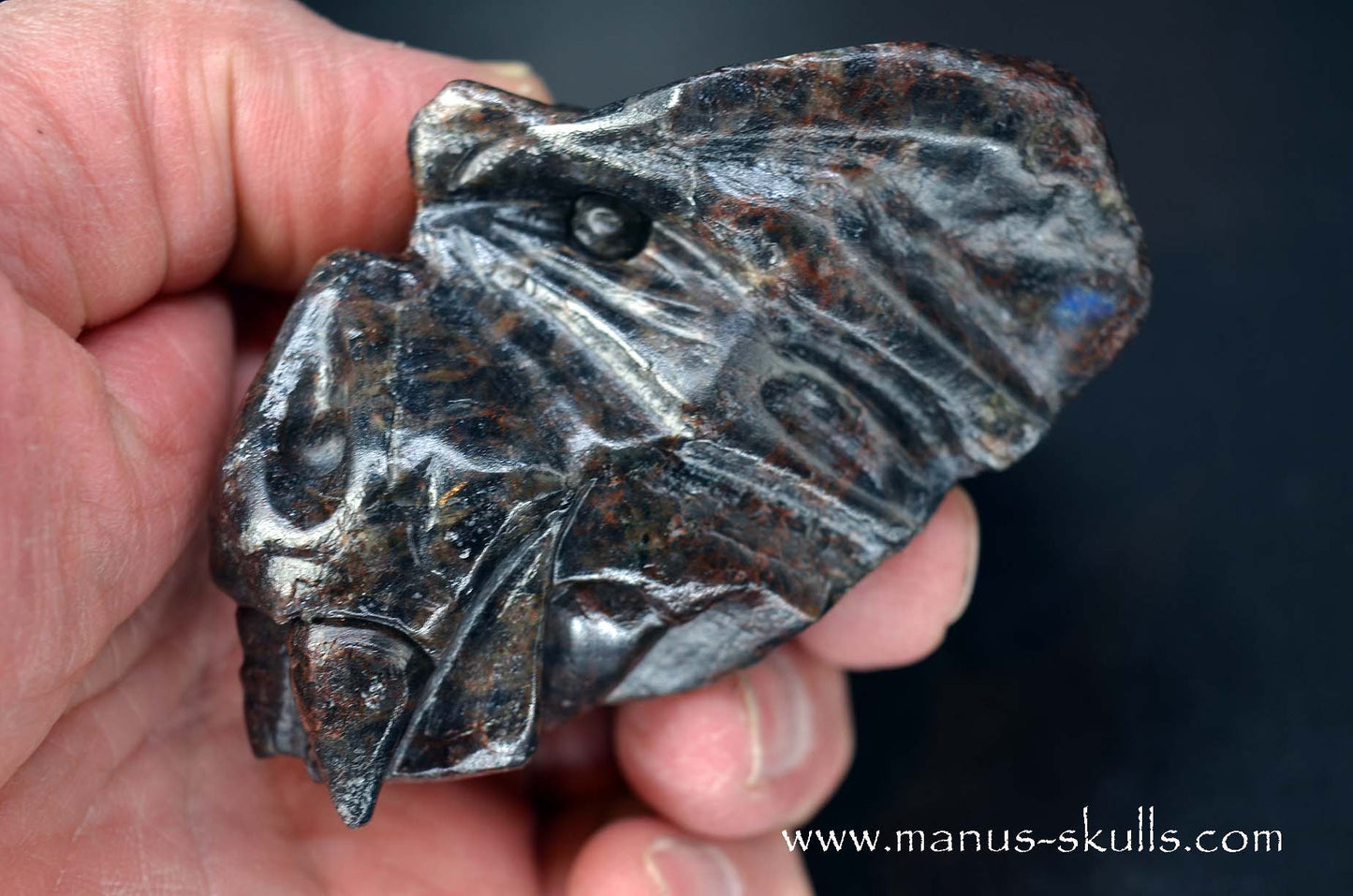 Spectrolite Dragon