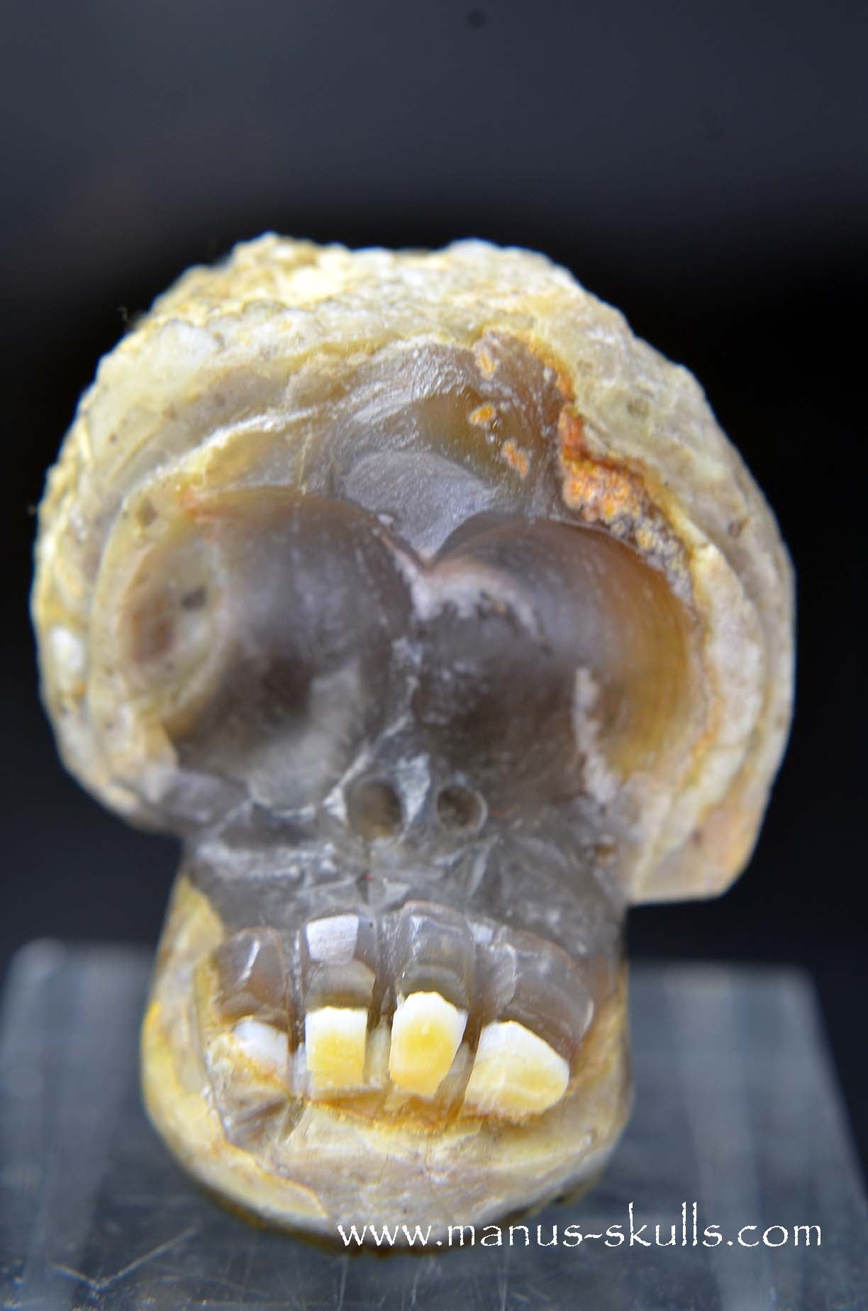 Manus skulls unique Crystal Carvings handmade skulls dragons pendants preseli bluestone tribals spiritual meaning wand Unicorn .. TNT bed   Lithophyse   Thunderegg