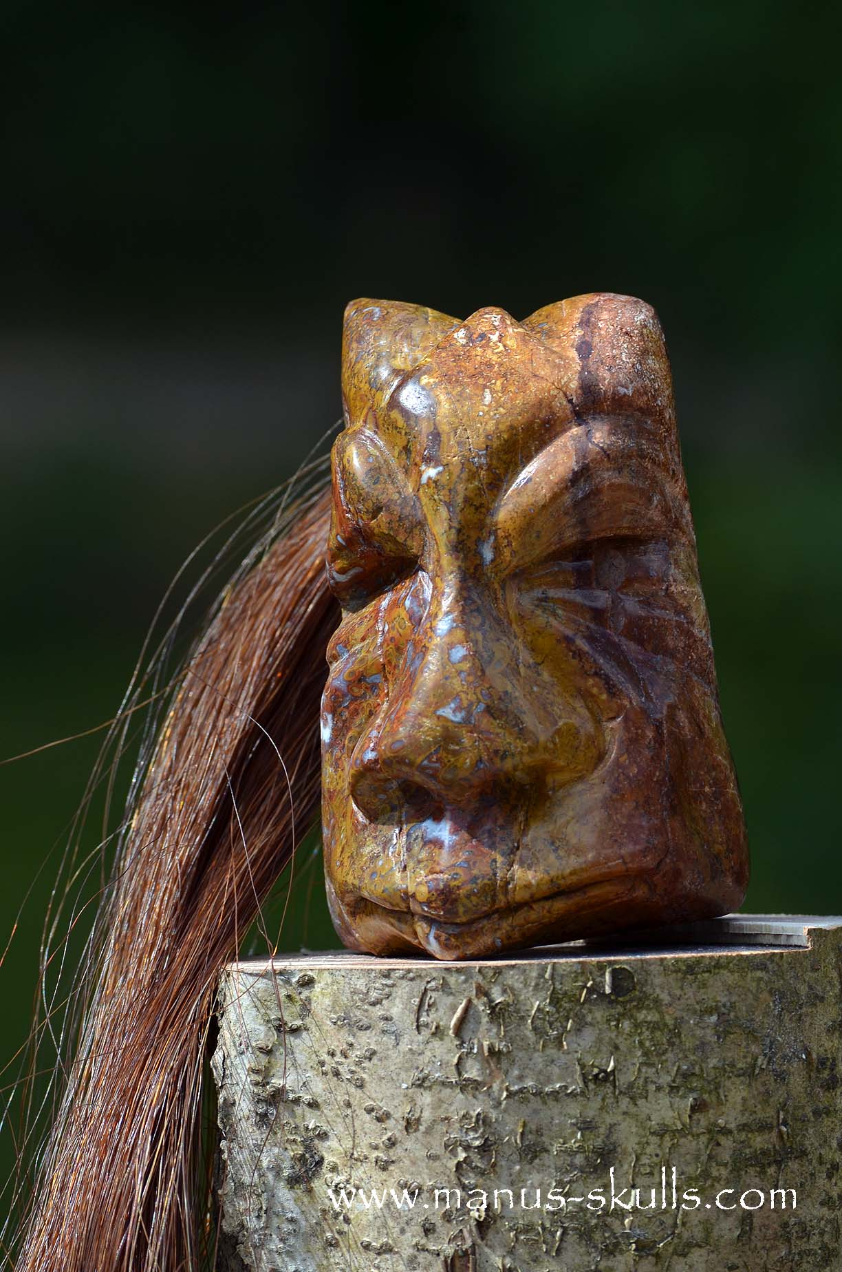 Petrified Palm Wood Tribal Skull #65