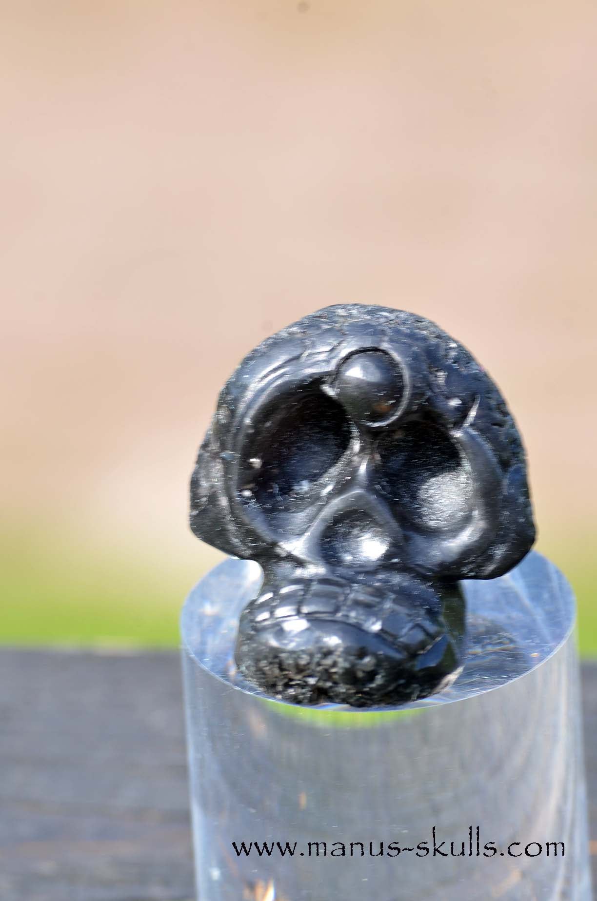 Agni Manitite Evolian manus skull