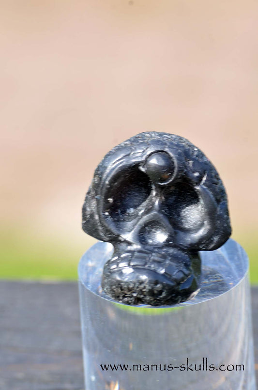 Agni Manitite Evolian  manus skull