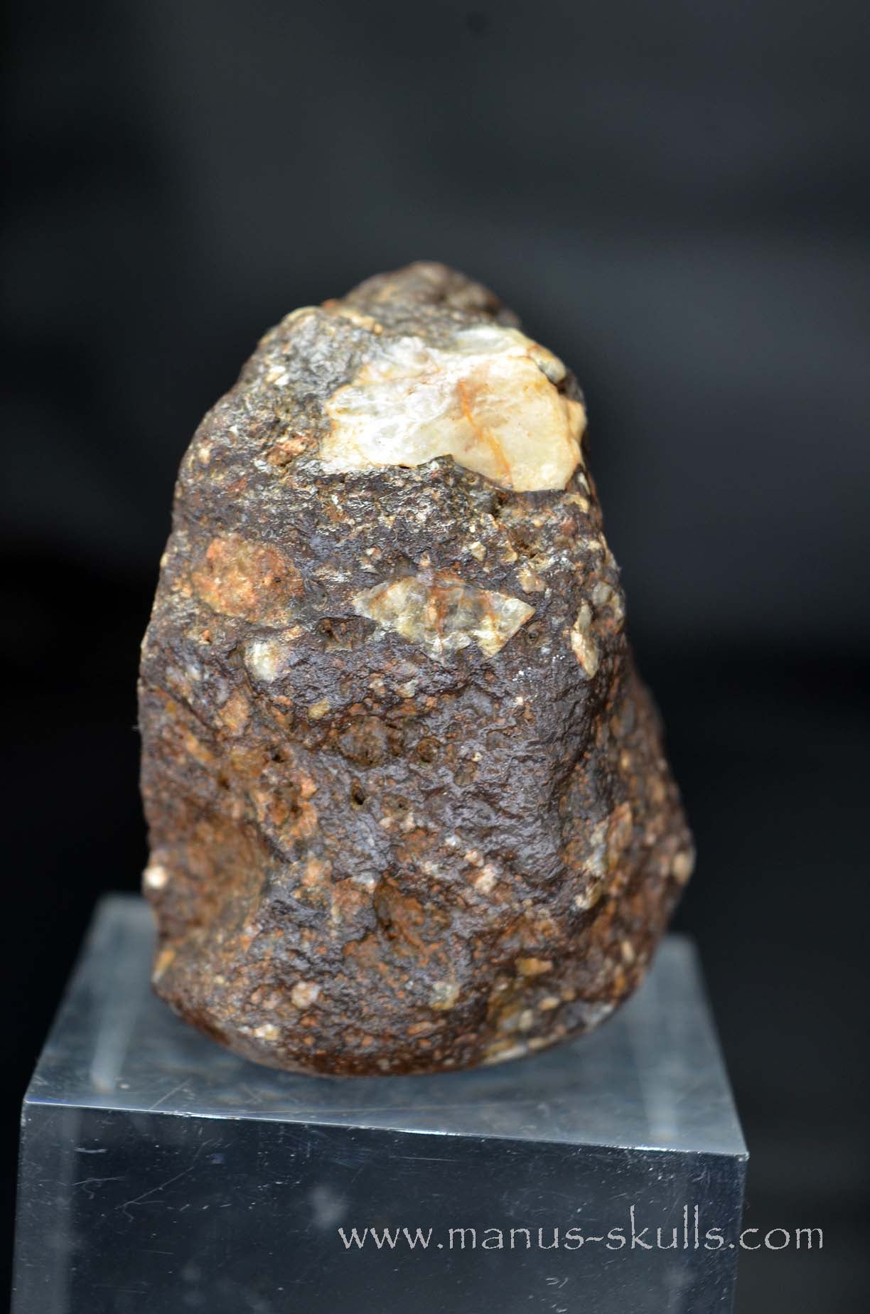 Tsesite Skull