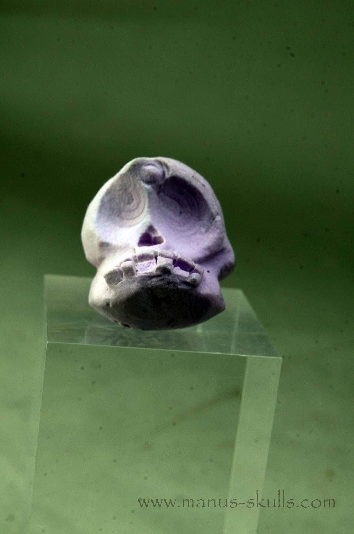 Phosphosiderite Evolian Skull #03