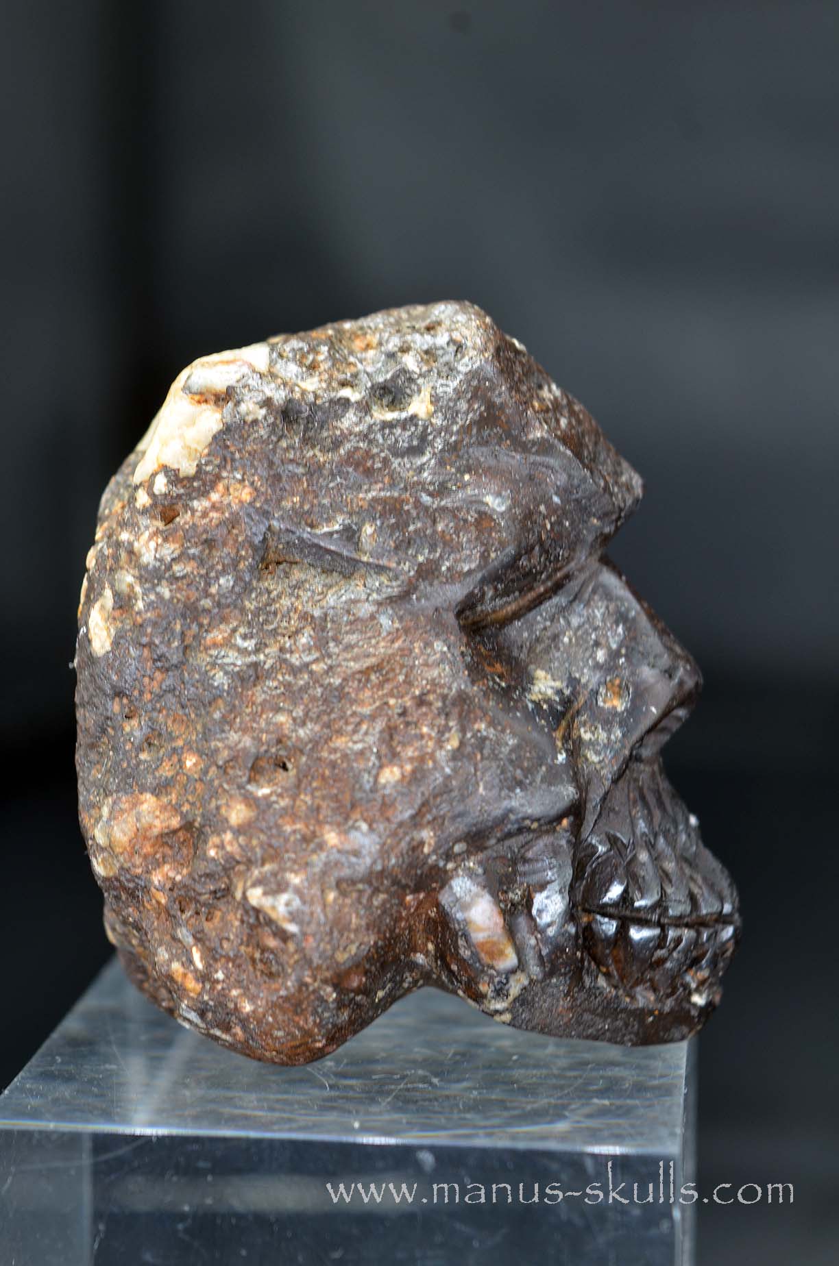 Tsesite Skull