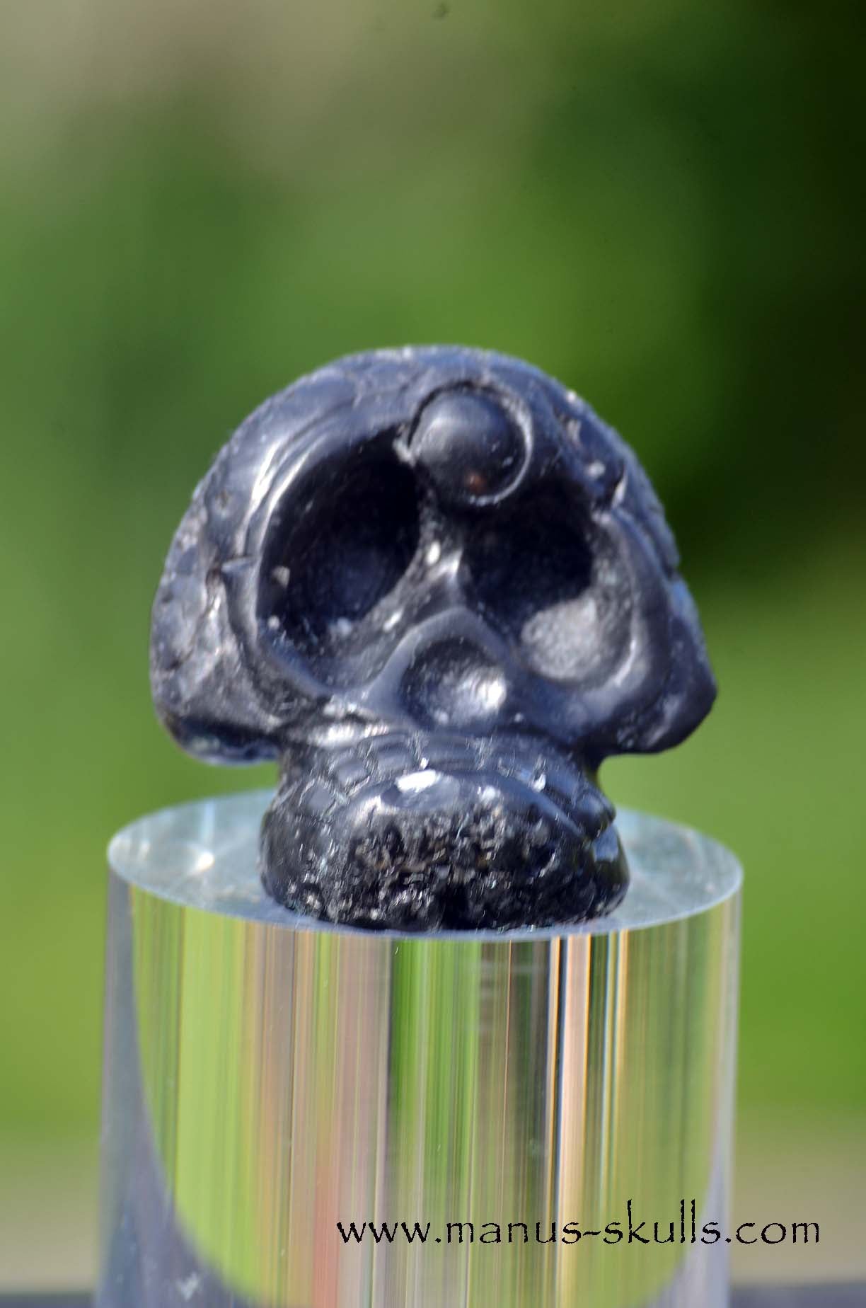 Agni Manitite Evolian manus skull
