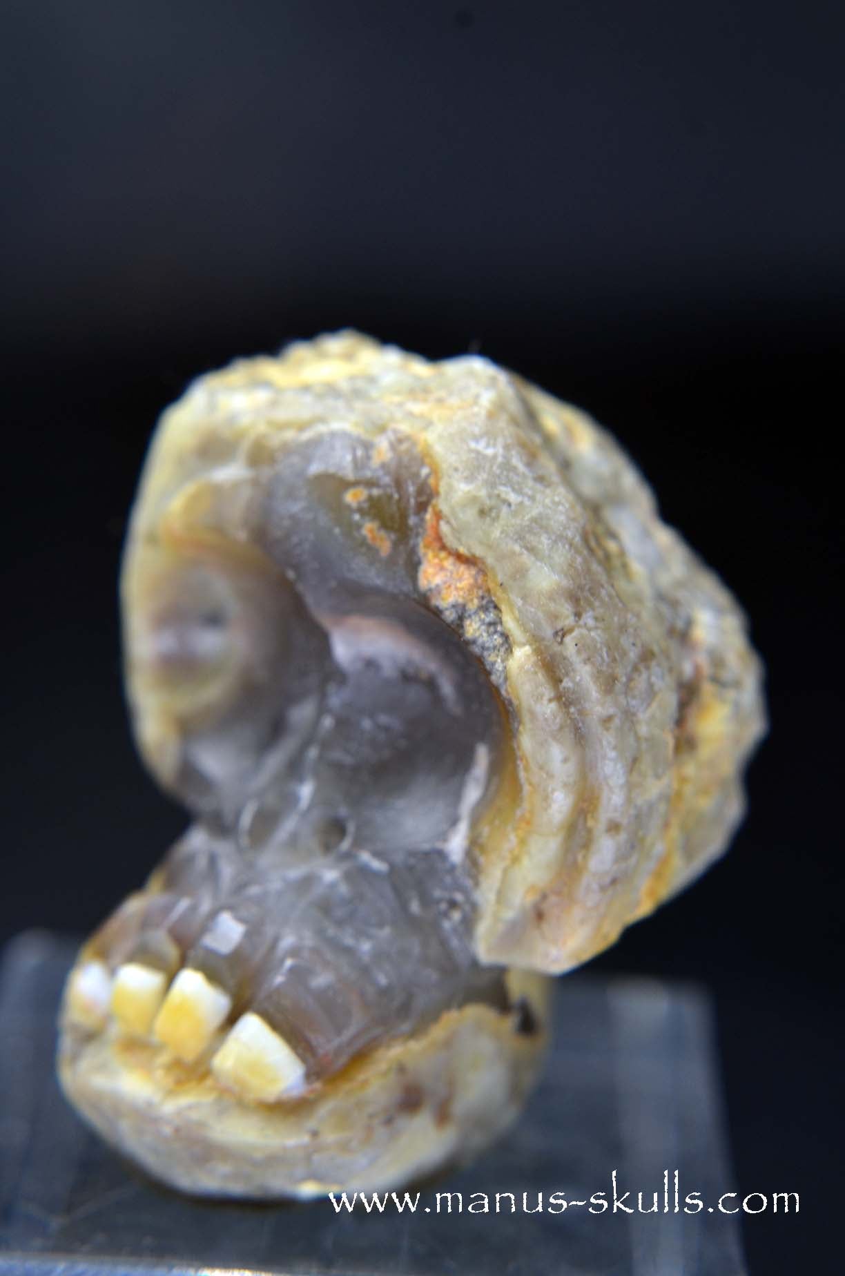 Manus skulls unique Crystal Carvings handmade skulls dragons pendants preseli bluestone tribals spiritual meaning wand Unicorn .. TNT bed   Lithophyse   Thunderegg