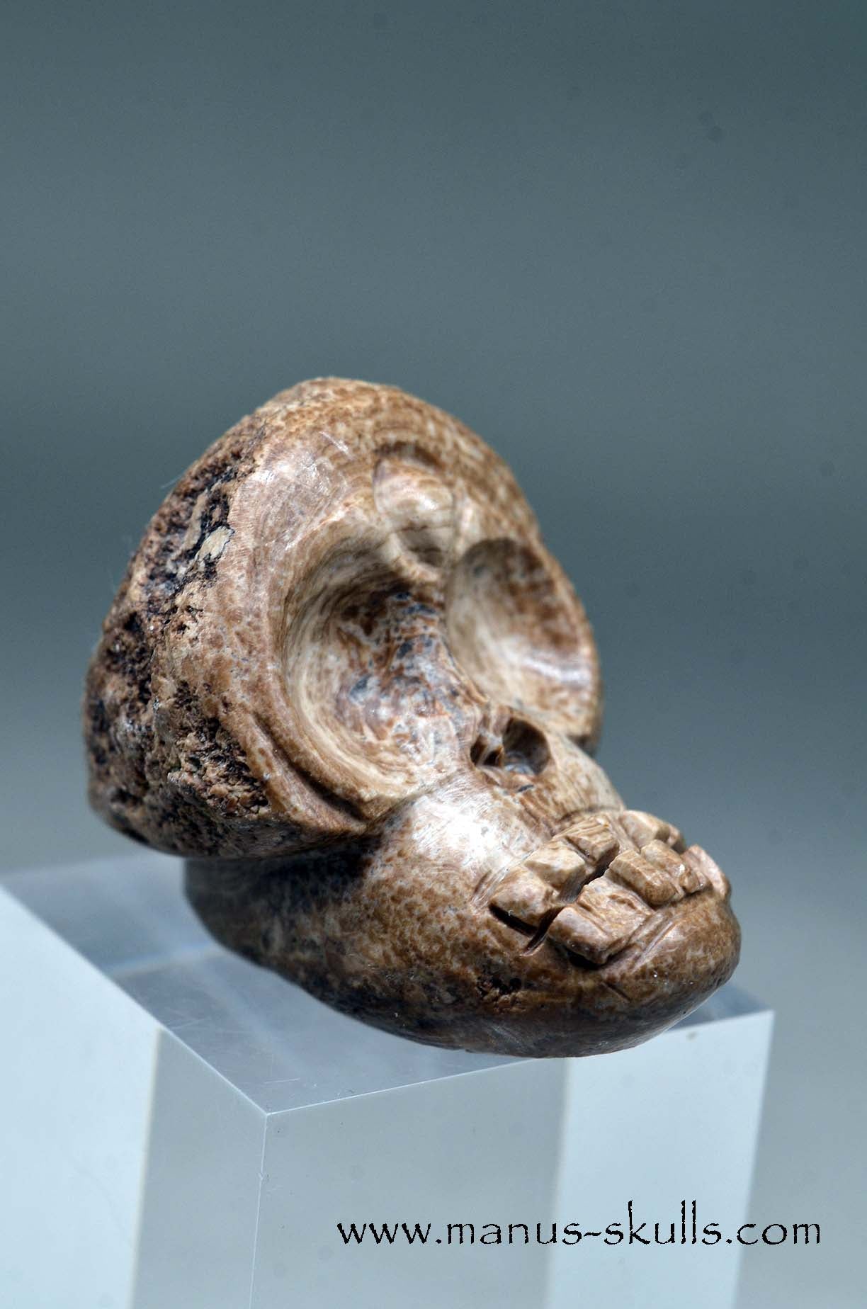 Aragonite Nodul Evolian Skull 2025 #02