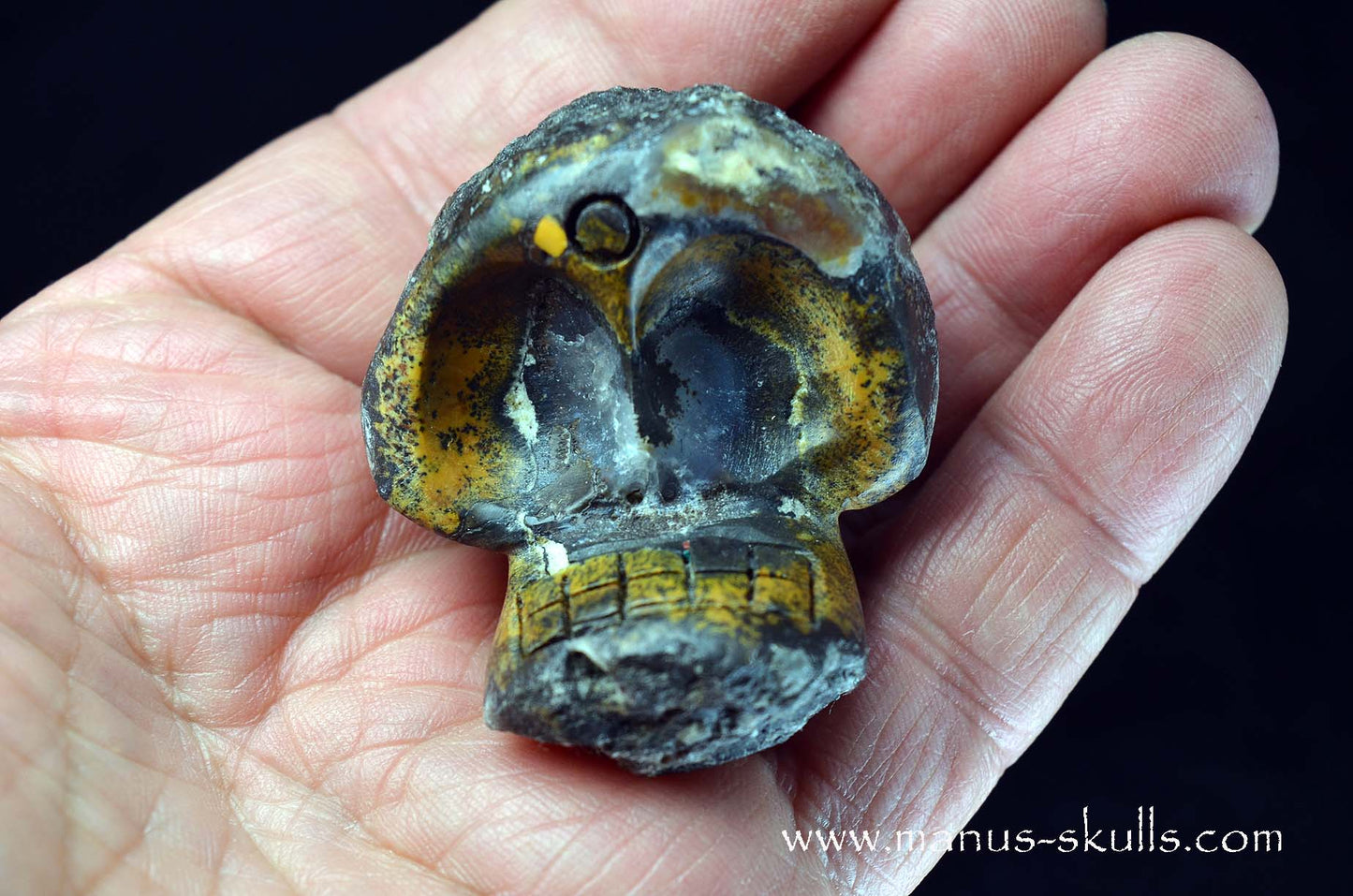 Agate Geode Evolian #03