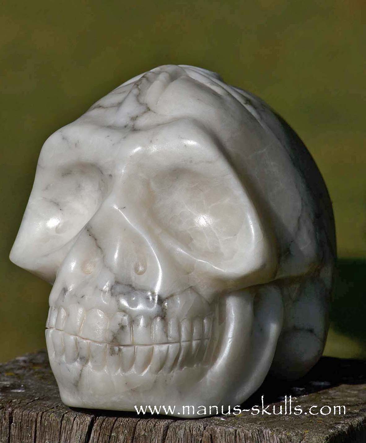 Large Alabaster Skull with Ankh Symbol