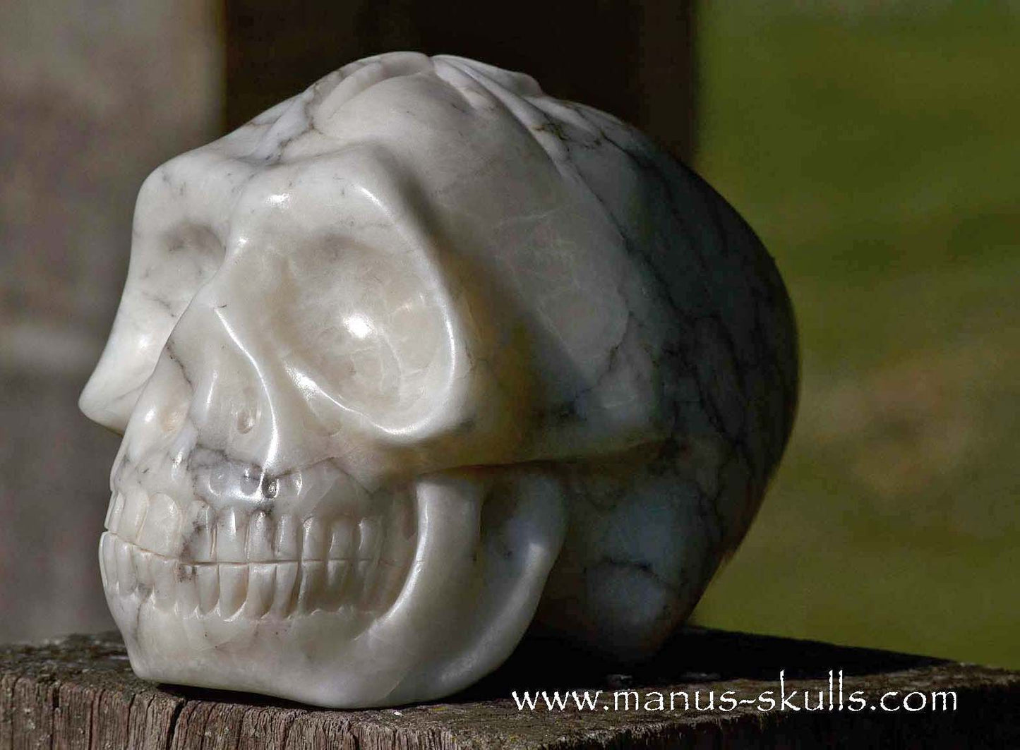 Large Alabaster Skull with Ankh Symbol
