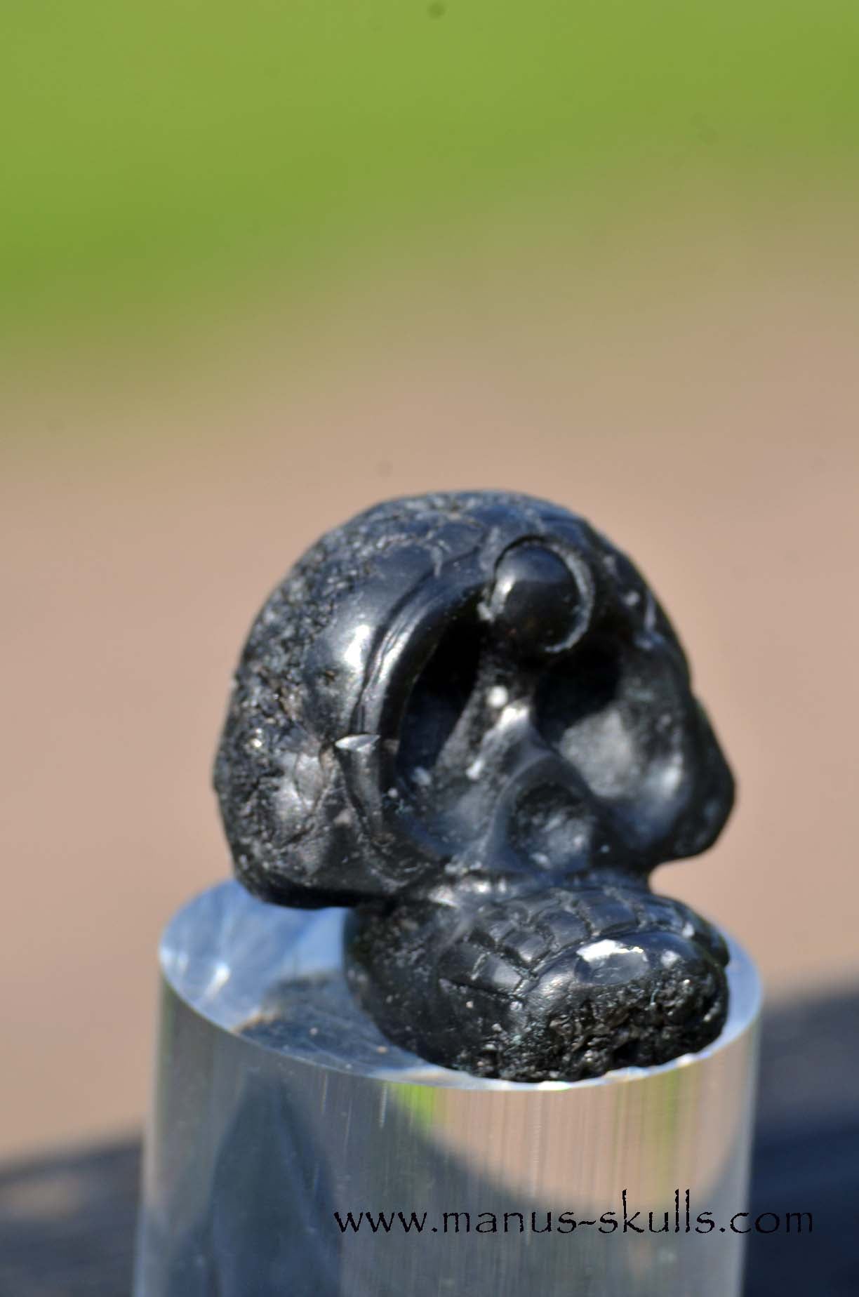 Agni Manitite Evolian manus skull