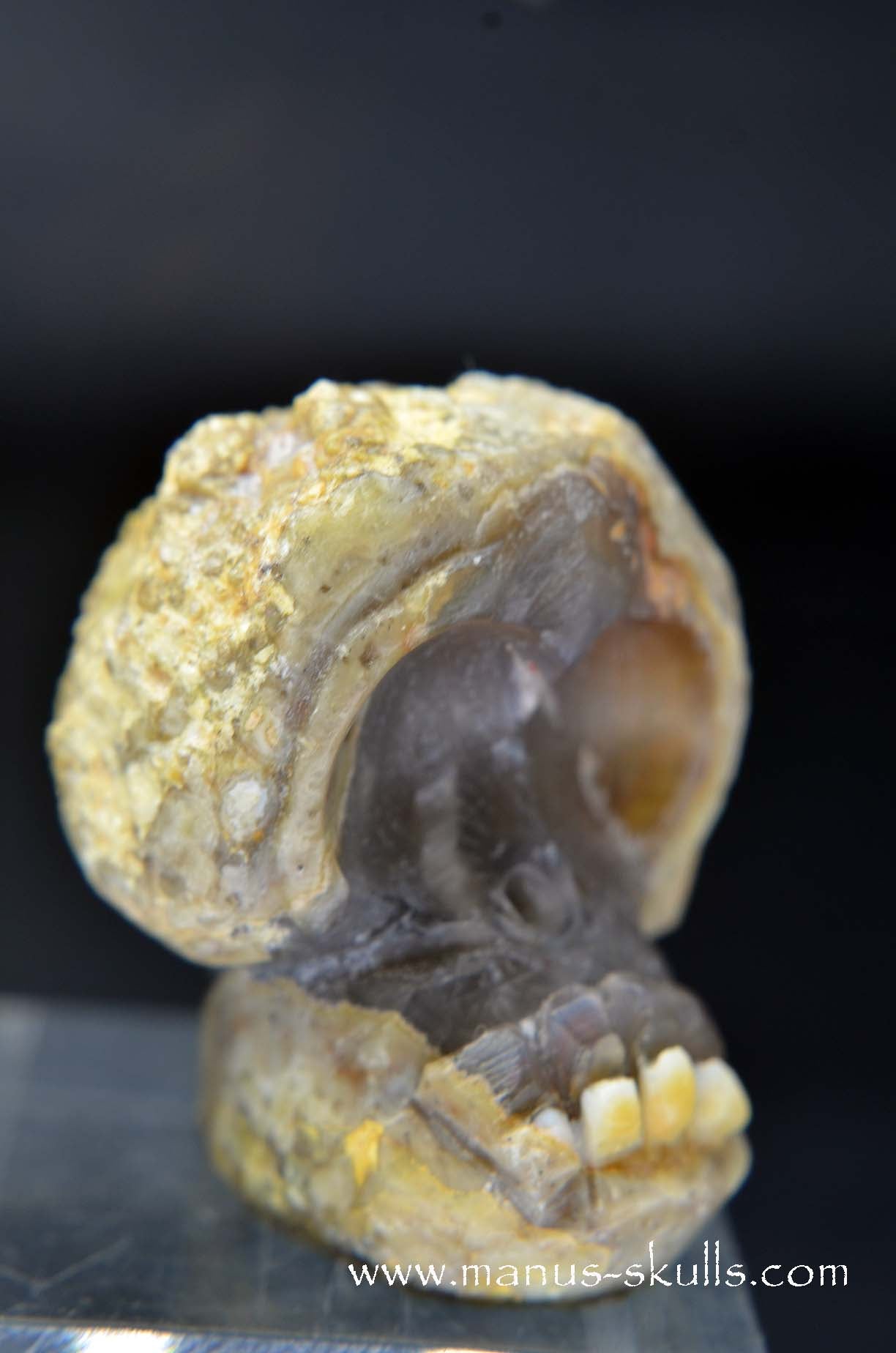 Manus skulls unique Crystal Carvings handmade skulls dragons pendants preseli bluestone tribals spiritual meaning wand Unicorn .. TNT bed   Lithophyse   Thunderegg