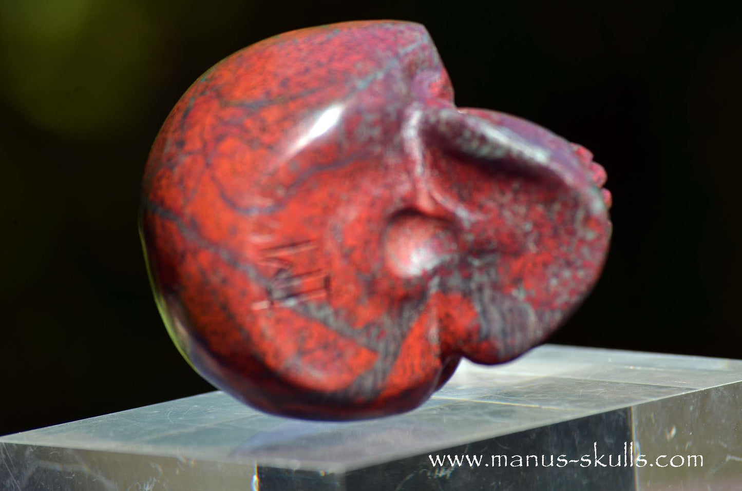 Happy Sonora Sunrise Skull