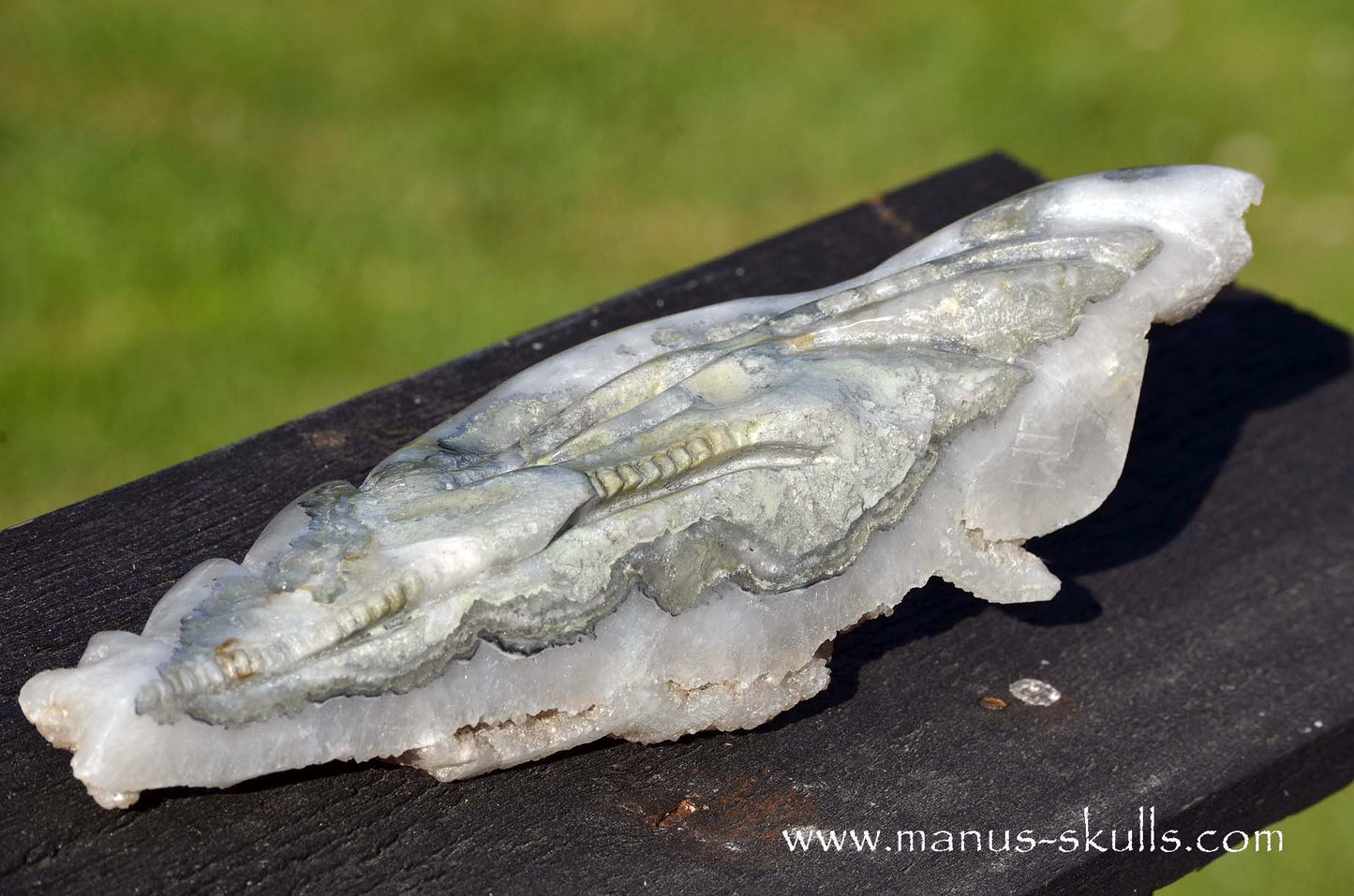 Apophyllite Dragon