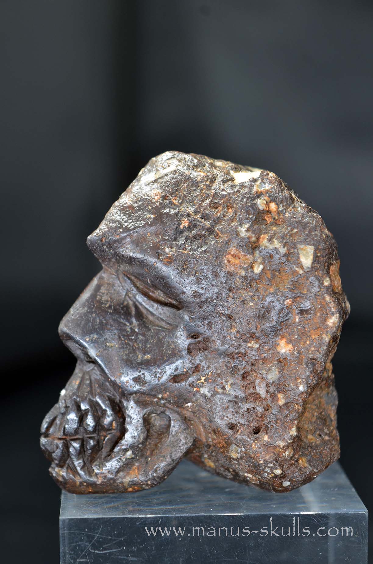 Tsesite Skull