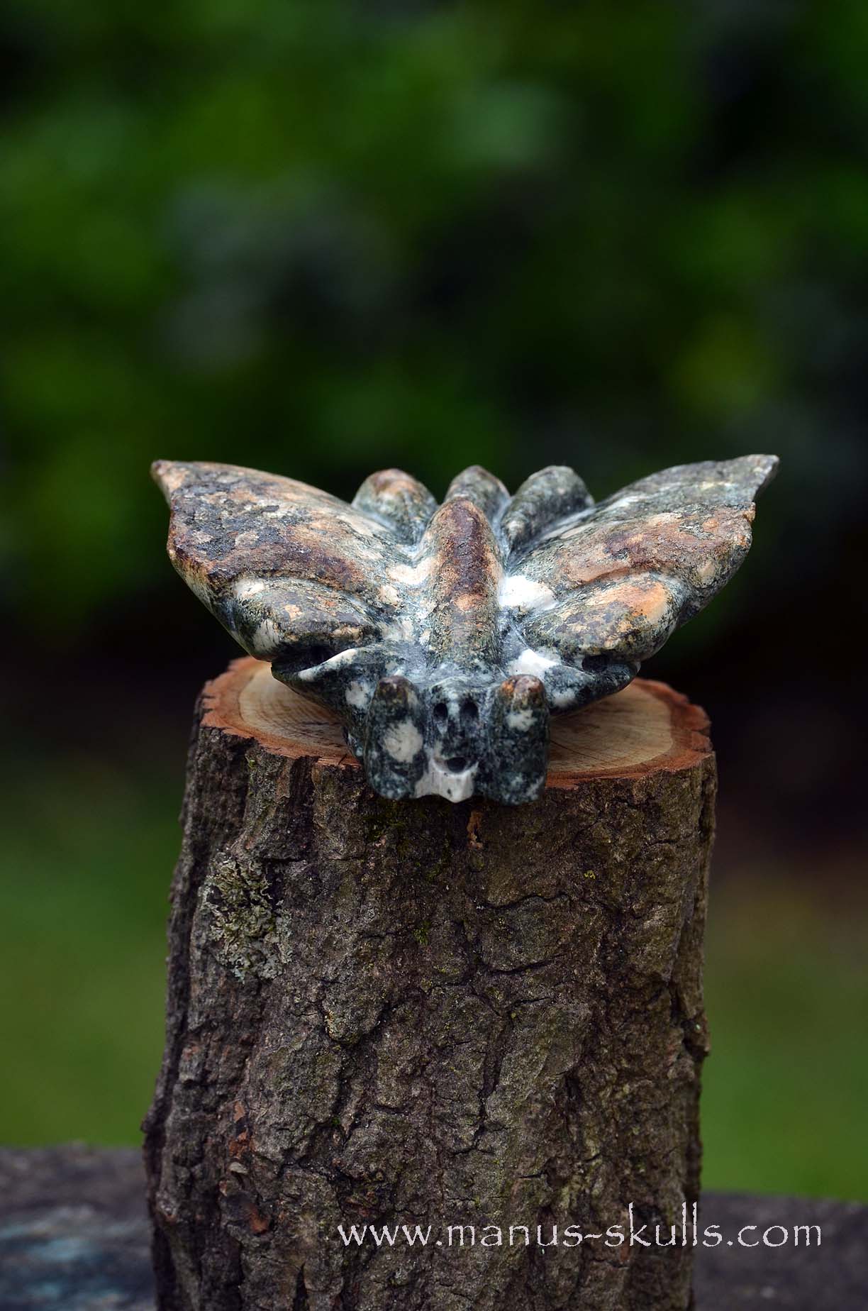 Preseli Bluestone Butterfly Dragon ....