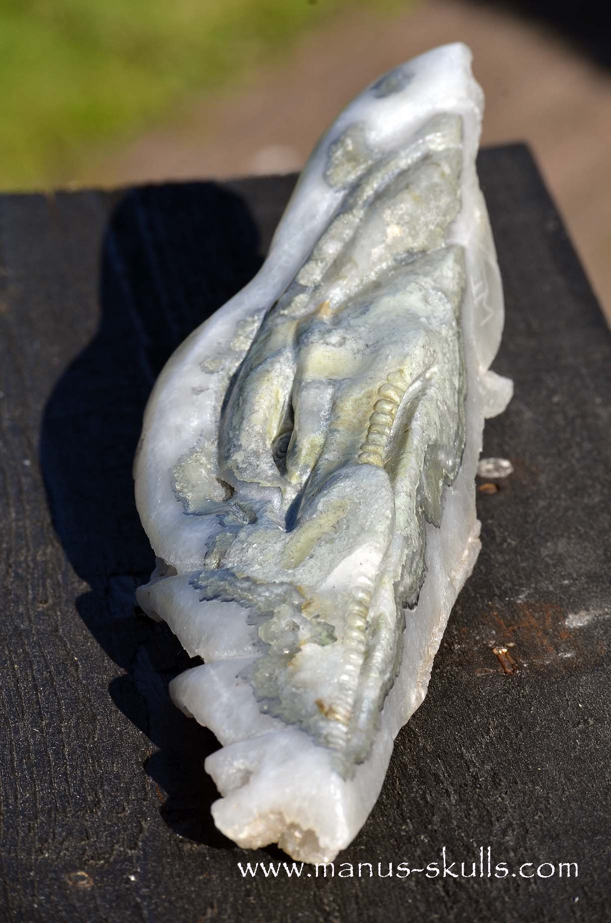 Apophyllite Dragon