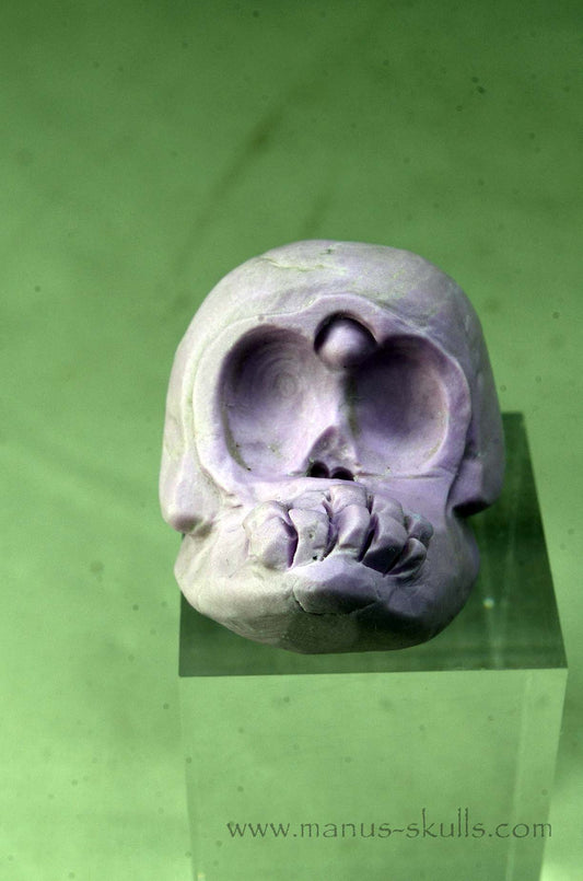 Phosphosiderite Evolian Skull #04