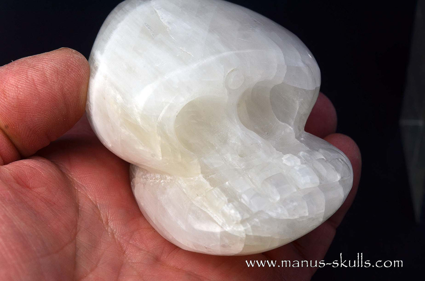 White Calcite Evolian Skull #05