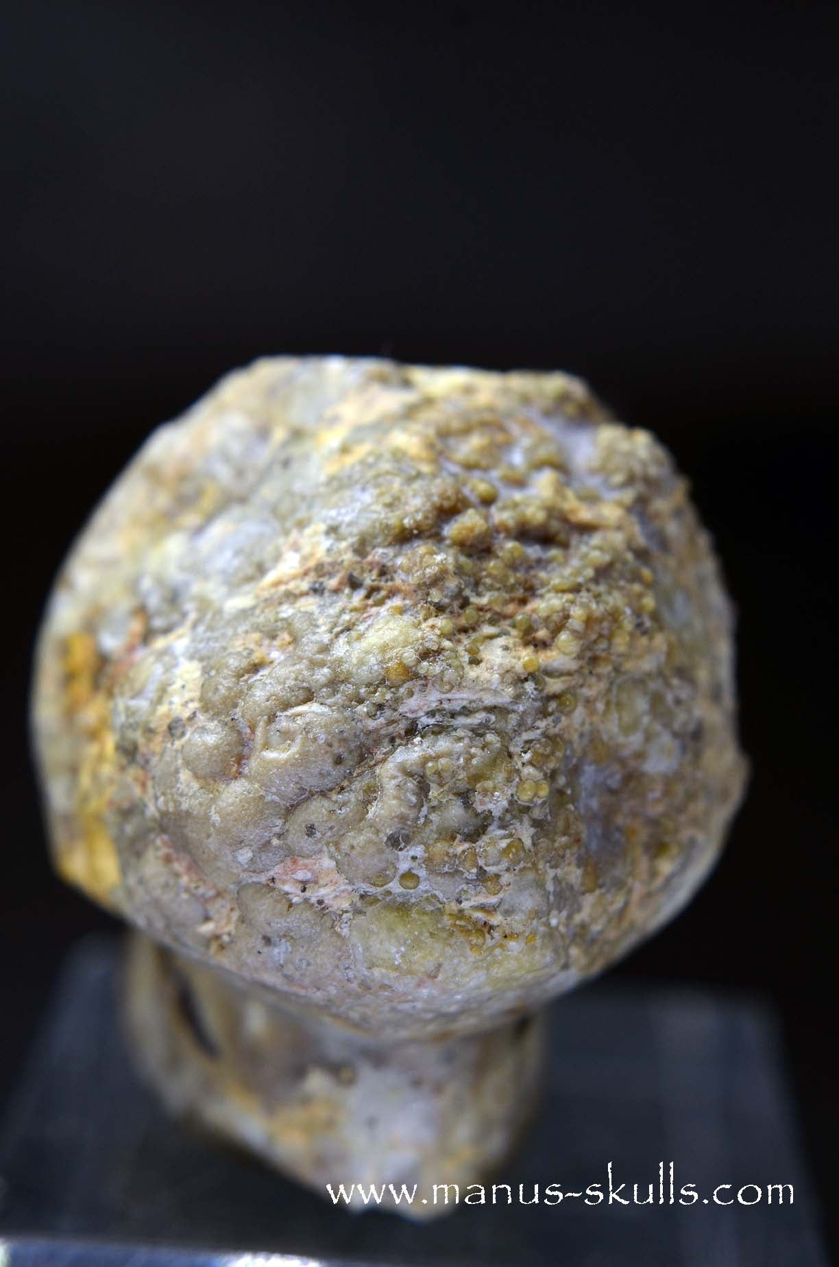 TNT-bed Thunderegg Evolian #03