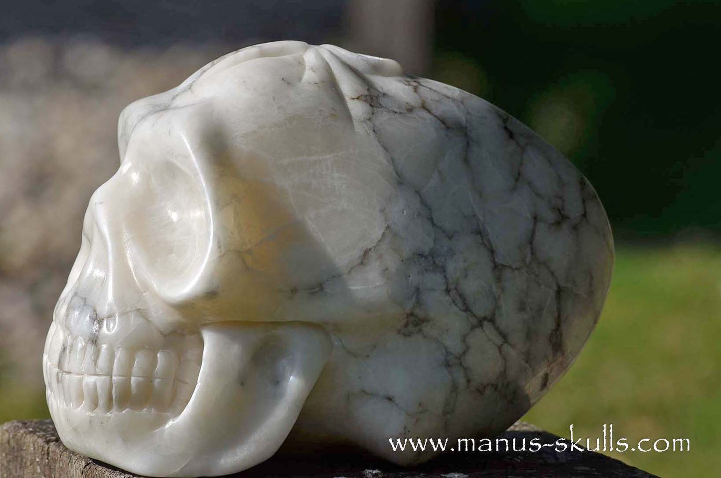 Large Alabaster Skull with Ankh Symbol