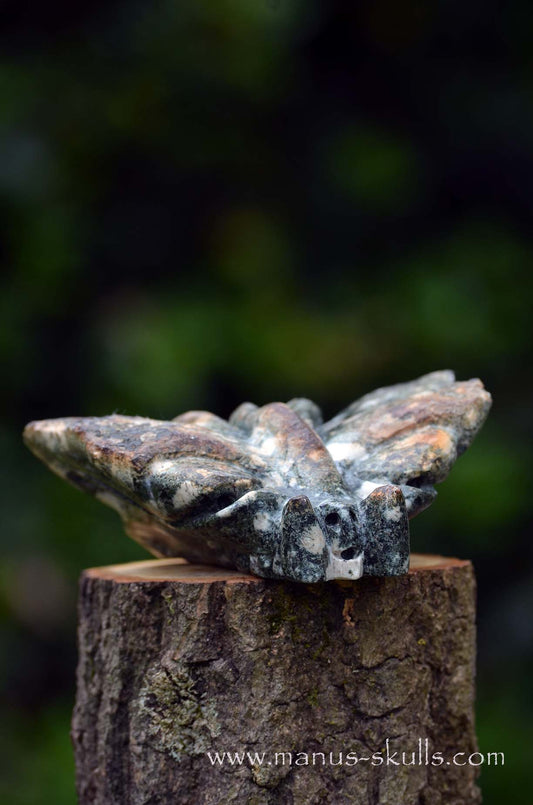 Preseli Bluestone Butterfly Dragon ....