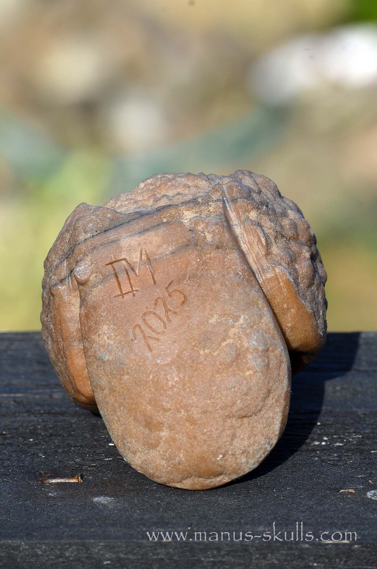 Oncolite EVOLIAN #10 (2025)