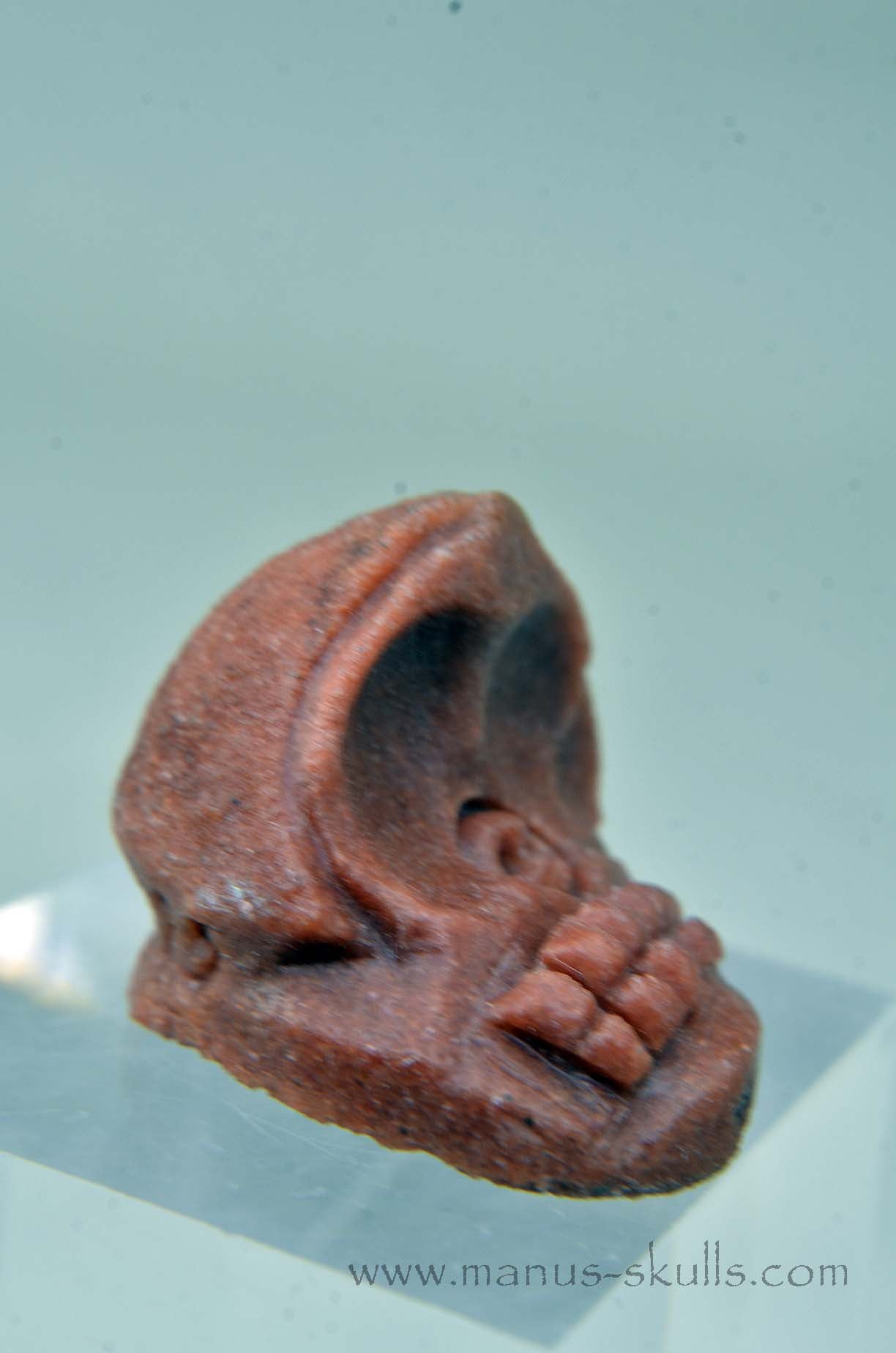 Oncolite EVOLIAN #03 (2025)
