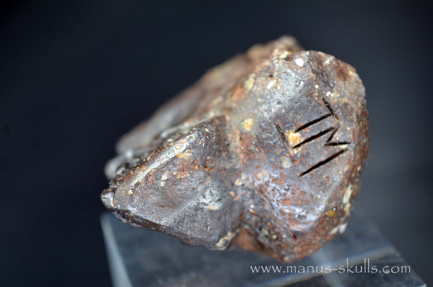 Tsesite Skull