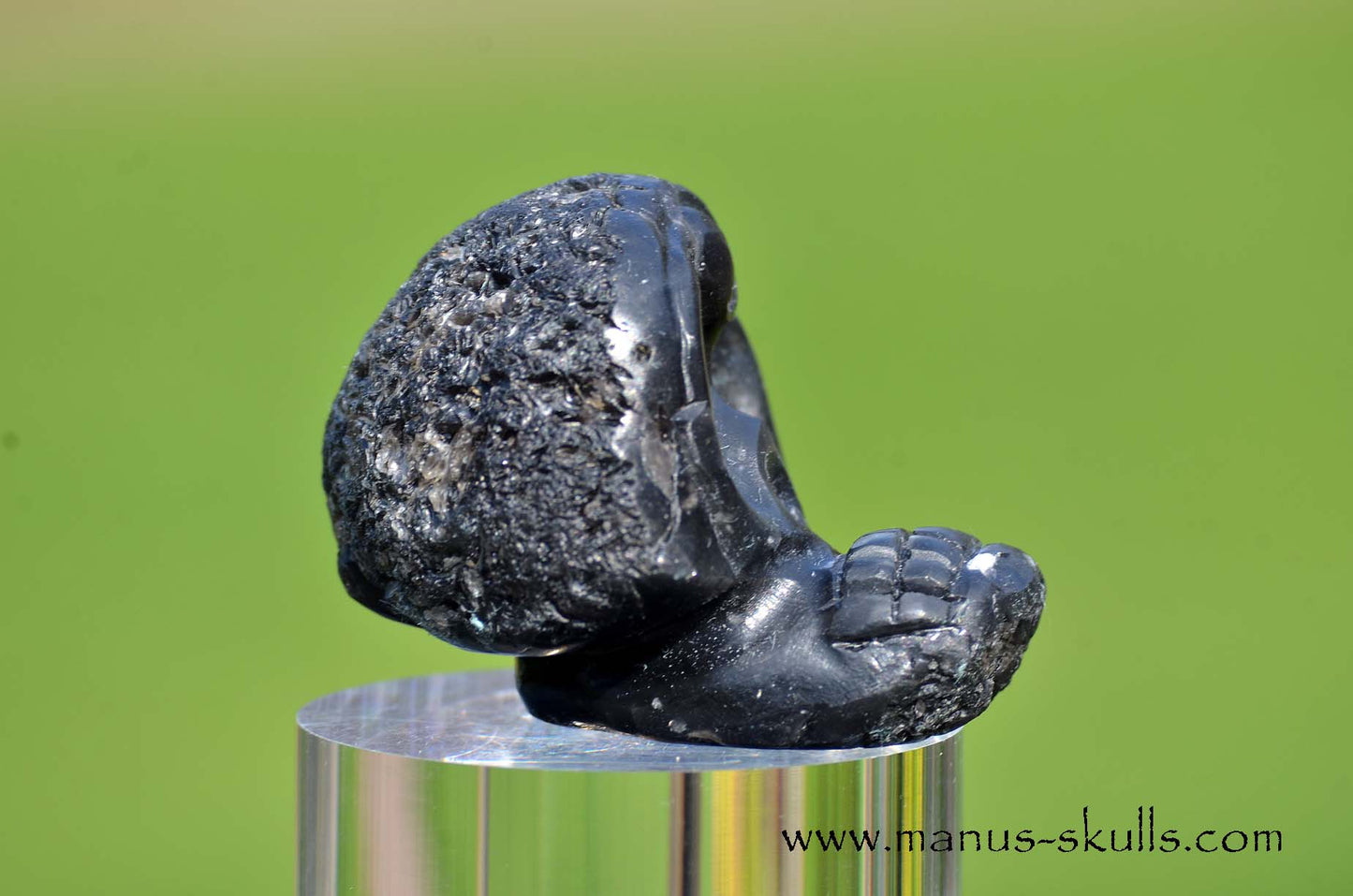 Agni Manitite Evolian #03