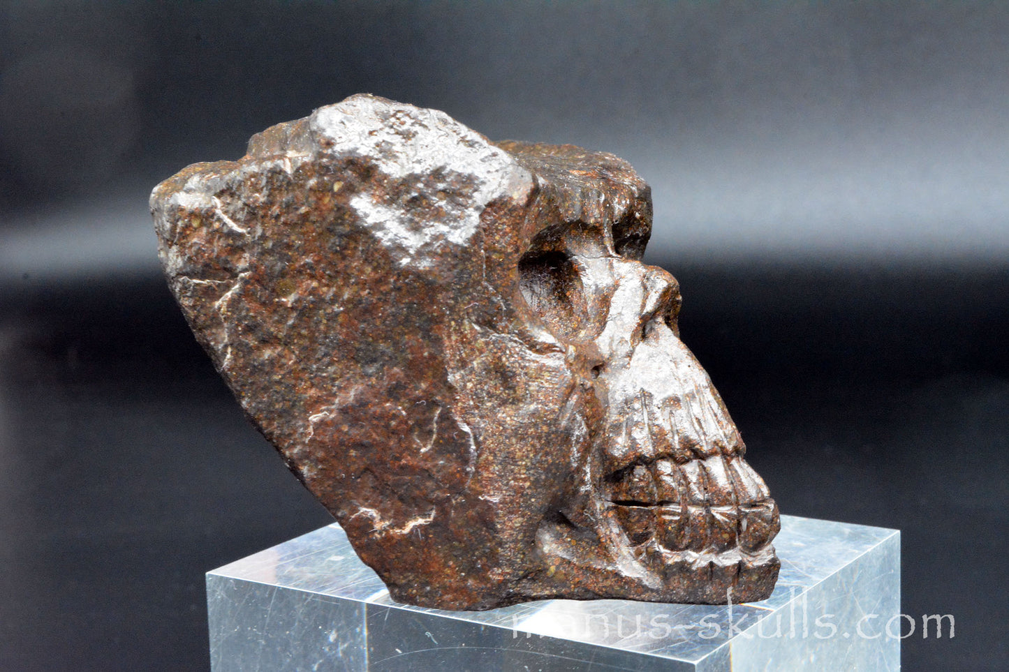 Meteorite Skull