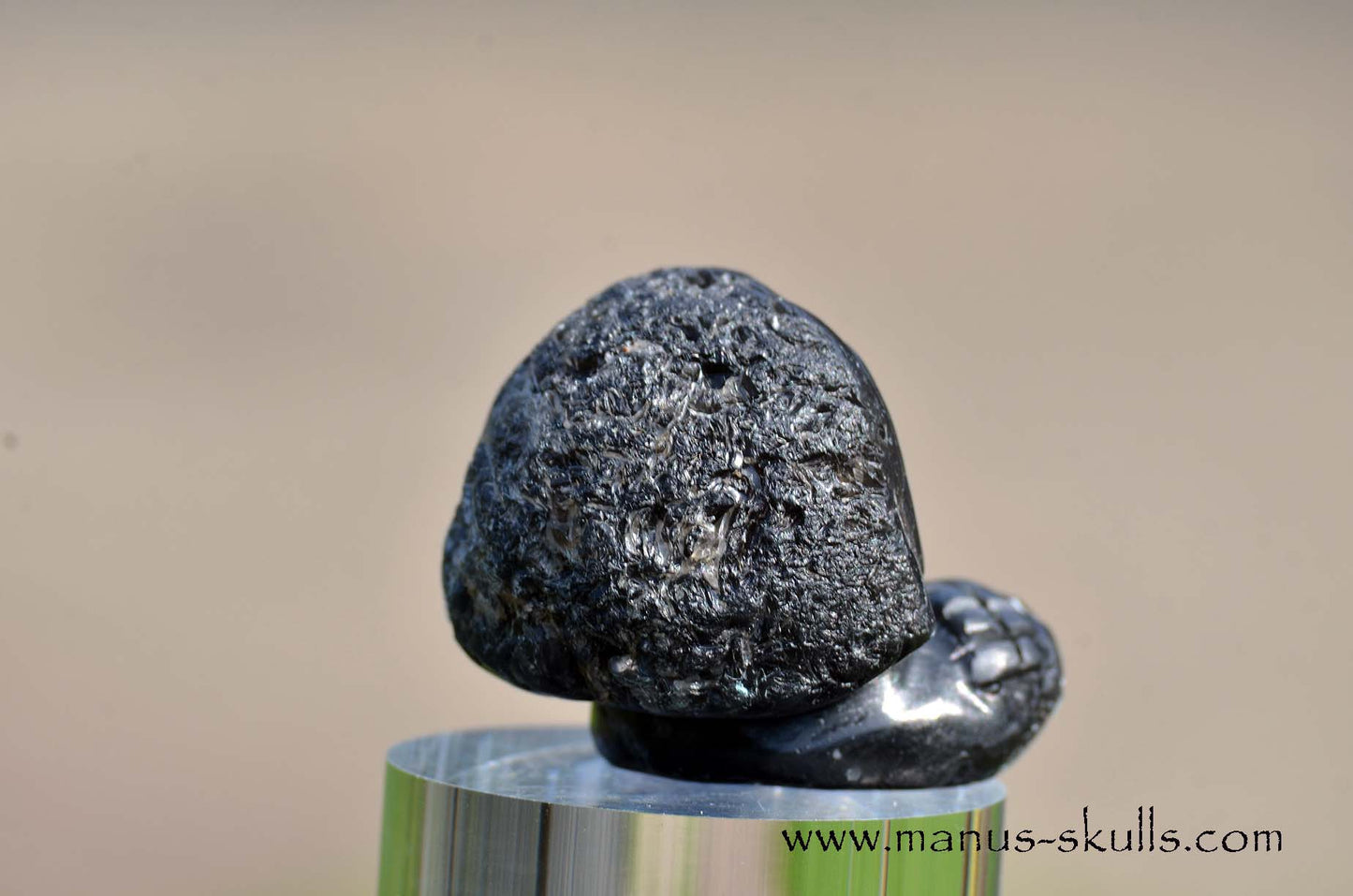 Agni Manitite Evolian #03