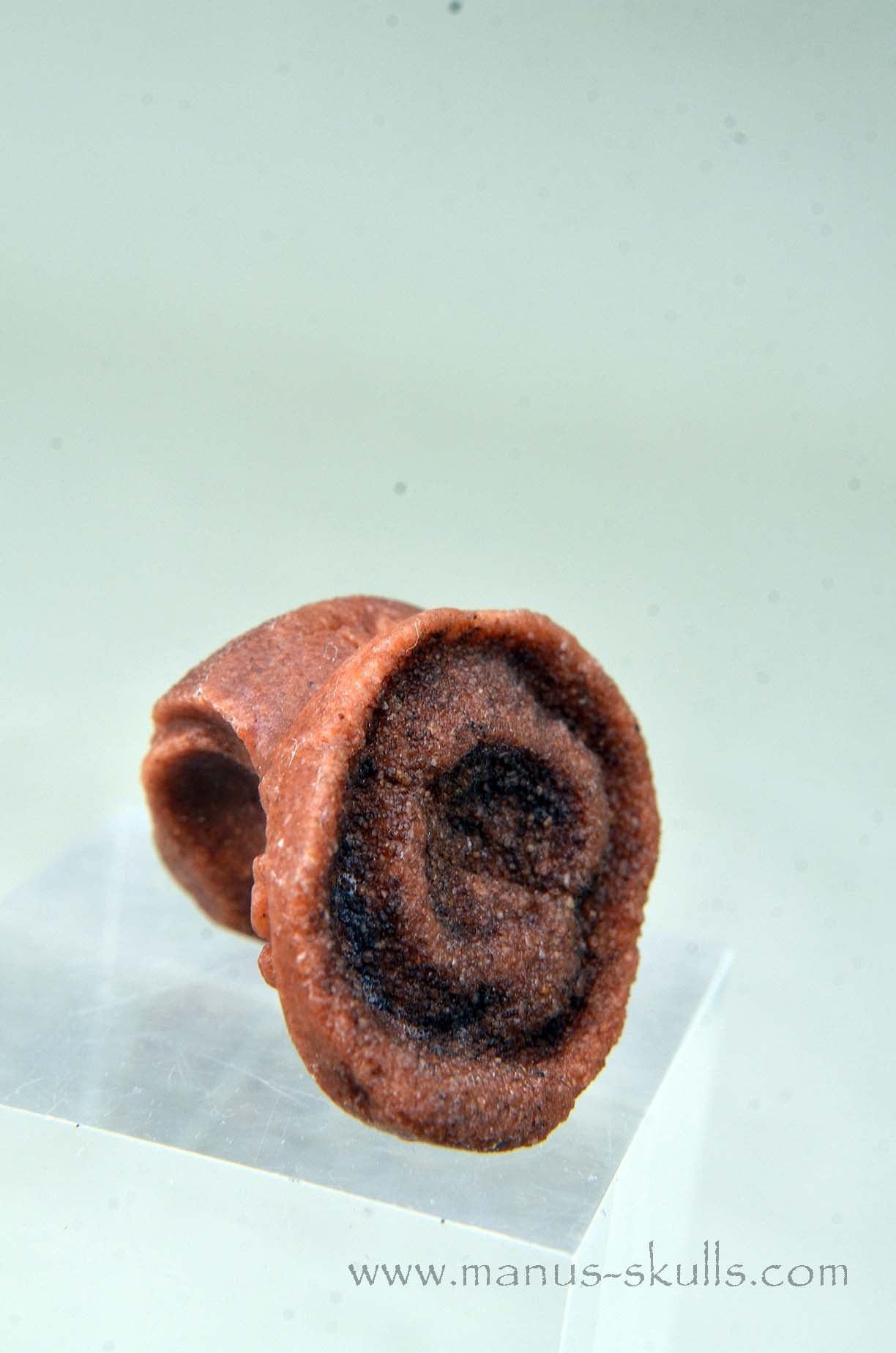 Oncolite EVOLIAN #03 (2025)