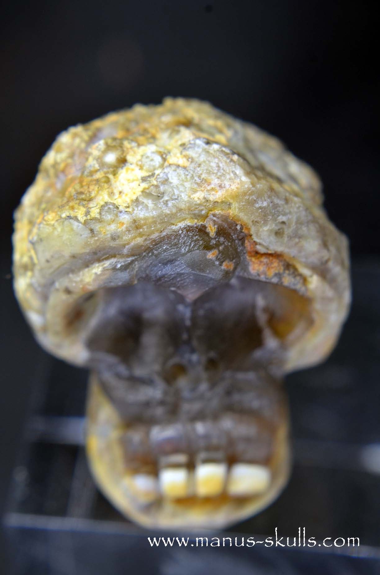 TNT-bed Thunderegg Evolian #03